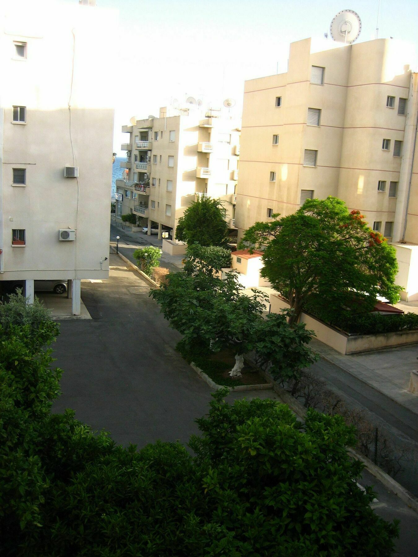Green Valley Modern Studio Lemesos Exteriér fotografie